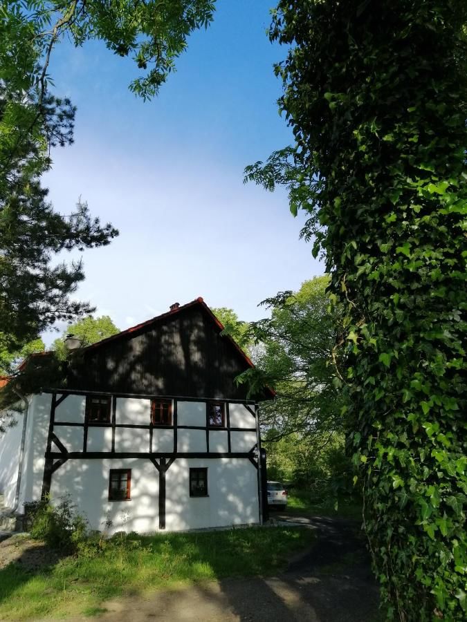 Фермерские дома Rębiszów 50 Rebiszów-15