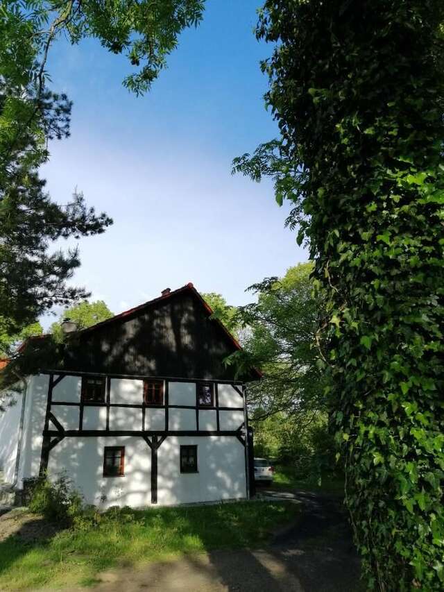 Фермерские дома Rębiszów 50 Rebiszów-14