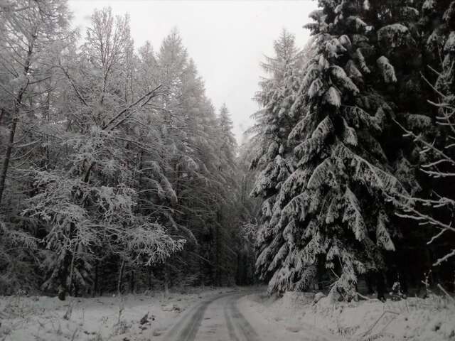 Фермерские дома Rębiszów 50 Rebiszów-15